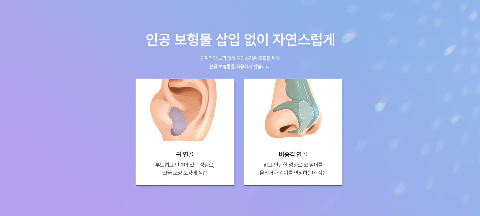 코끝 종류
