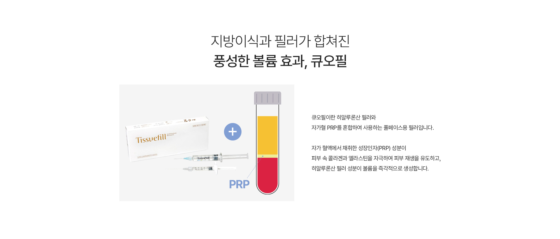 큐오필 내용