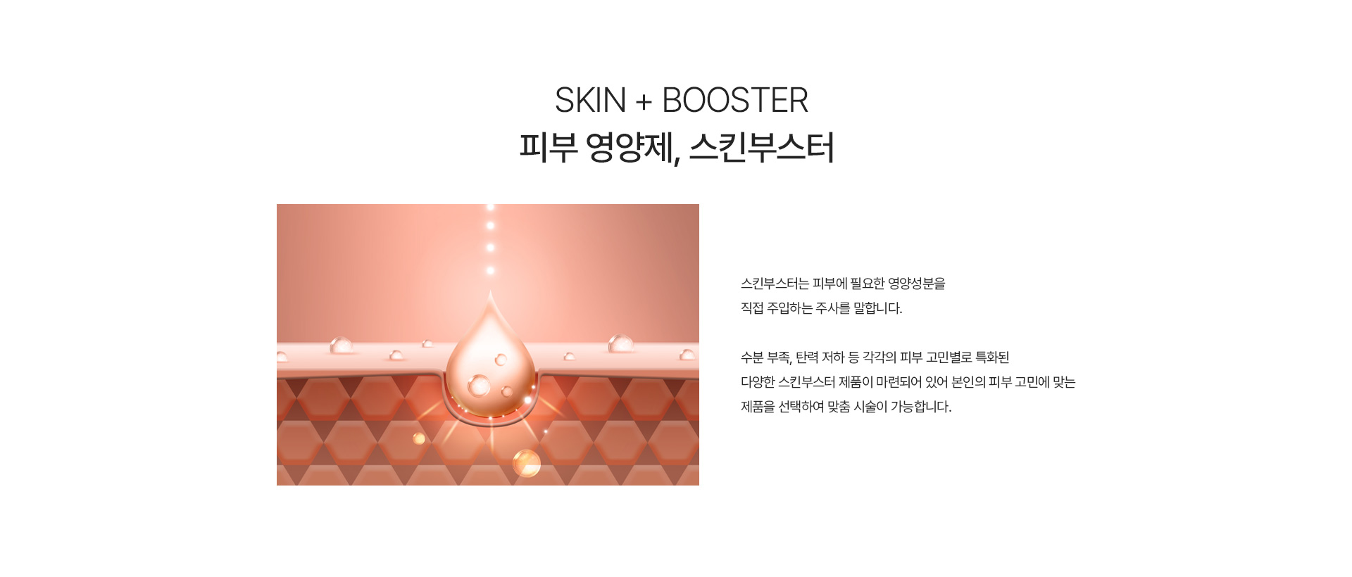 스킨부스터 내용